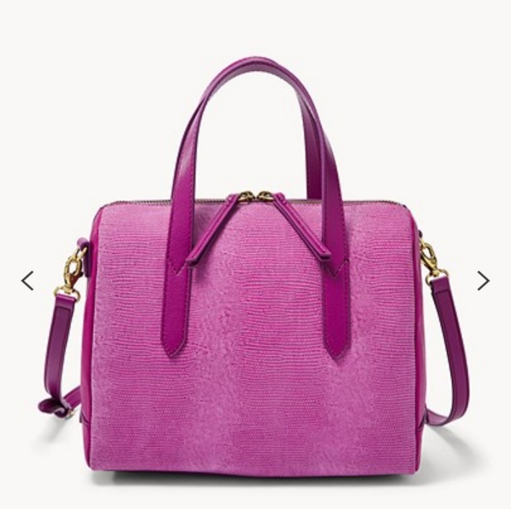 Fossil Satchel
